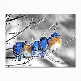 Bluebirds On A Branch Canvas Print