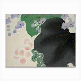 Flowers And Leaves From Momoyogusa –Flowers Of A Hundred Generations (1909), Kamisaka Sekka Canvas Print