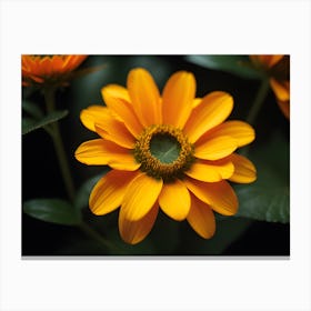 Sunflower Canvas Print