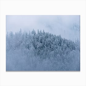 Winter Forest And Fog Canvas Print