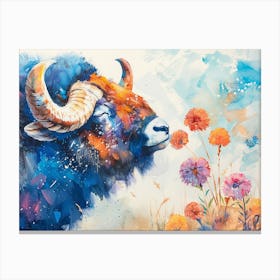 Muskox In Foraging Canvas Print