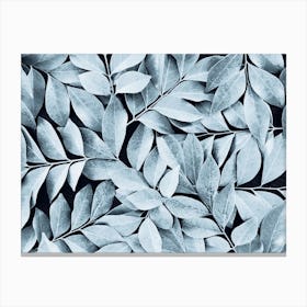 Icy Blue Plant Leaves Canvas Print
