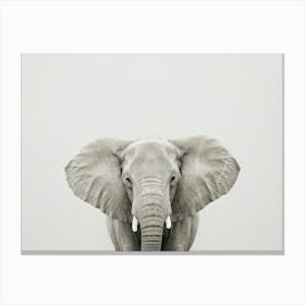 Elephant Canvas Print Canvas Print