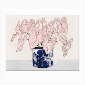 Pink Syngonium Plant Canvas Print