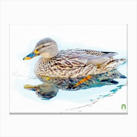 Mallard Duck 20220101 134rt1ppub Canvas Print