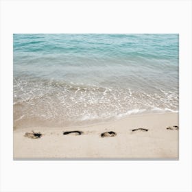 Petjades Canvas Print