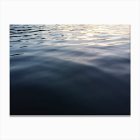 Water Ripples Canvas Print