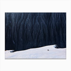 Deep In Canyon Canvas Print