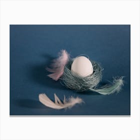 Easter Egg In A Nest 1 Canvas Print