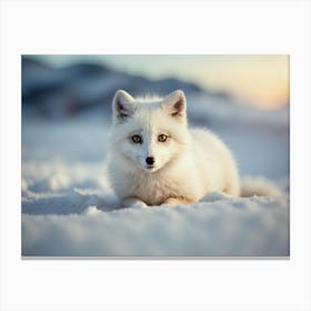 Arctic Fox 2 Canvas Print