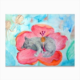 Cats Have Fun Sleeping Spotted Gray Cat In A Hibiscus Flower Canvas Print