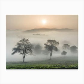 Sunrise In The Mist Canvas Print