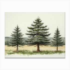 Three Pine Trees Canvas Print