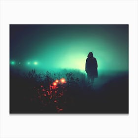 Alone In The Countryside Fog Canvas Print