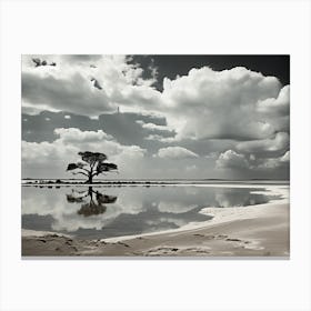 Lone Tree 2 Canvas Print