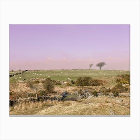 Dartmoor sunset Canvas Print