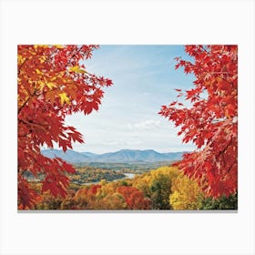 Autumn Foliage Comes Alive In This Design Leaves Flaunting A Riot Of Colors Including Crimson Verm Canvas Print