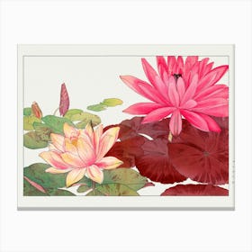 Lotus Flower Canvas Print