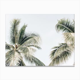 Two Green Palms Canvas Print