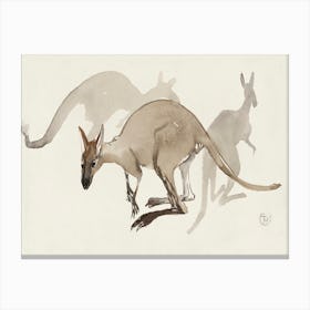 Kangaroos (1873–1917),Theo Van Hoytema Canvas Print