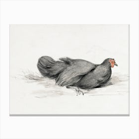Black Chicken (1775–1833), Jean Bernard Canvas Print