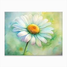 Daisy 1 Canvas Print