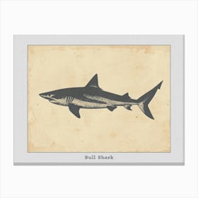 Bull Shark Grey Silhouette 2 Poster Canvas Print