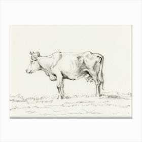 Standing Cow 1, Jean Bernard Canvas Print