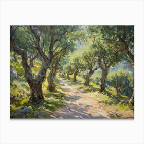 Olive Grove 3 Canvas Print