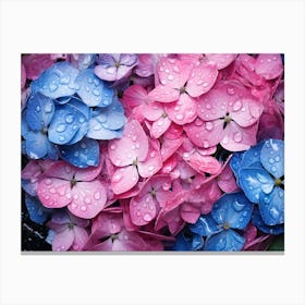 Hydrangeas 35 Canvas Print