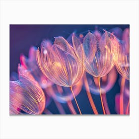 Tulip 5 Canvas Print