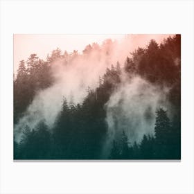 Redwood Forest National Park Pastel Layers Canvas Print
