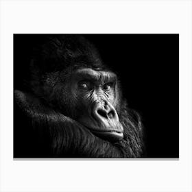 Gorilla In Black And White Canvas Print