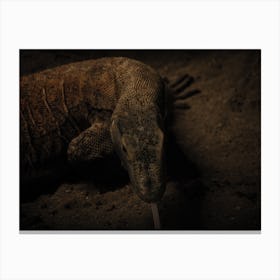 Lizard Canvas Print