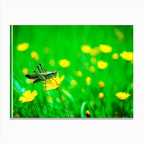 A Lush Grasshopper Leaps Across A Vibrant Oversaturated Meadow The Intense Green Hues Softened By 2 1 Canvas Print