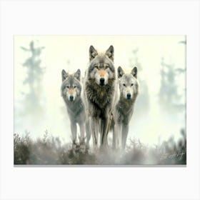 Wolf Pack - Wolf Trio Canvas Print