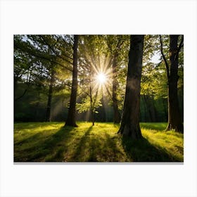 Sun Shining Through Trees Canvas Print