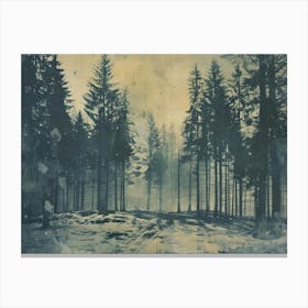 Landscape Forest Illustration 4 Canvas Print