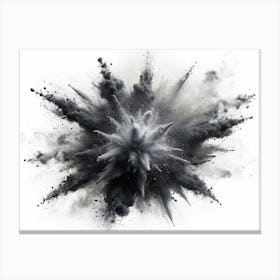 Black And Grey Powder Explosion On White Background Canvas Print