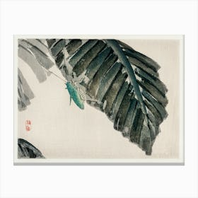 Insect On Leaves, Kōno Bairei Canvas Print