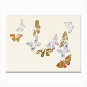 Japanese Butterfly, Cho Senshu (13) Canvas Print