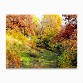 Autumn Scene 2 Canvas Print