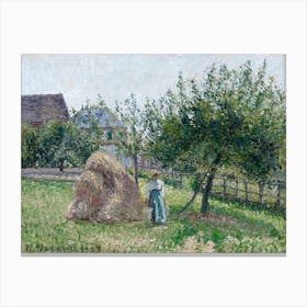 Apple Trees In Eragny, Sunny Morning (1903), Camille Pissarro Canvas Print