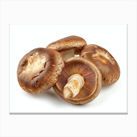 Shiitake Mushrooms 1 Canvas Print