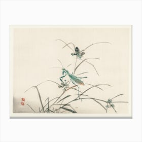 Grasshopper, Kōno Bairei Canvas Print