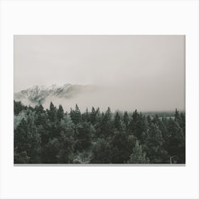 Foggy Mountain Wilderness Canvas Print