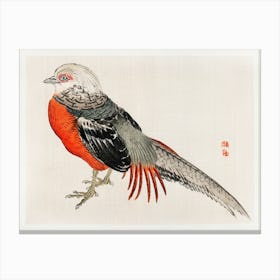 Japanese Pheasant, Kōno Bairei Canvas Print