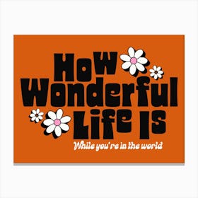 How Wonderful Life Is, Elton John Canvas Print