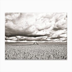 Field Pano Skyscape (2008) Canvas Print