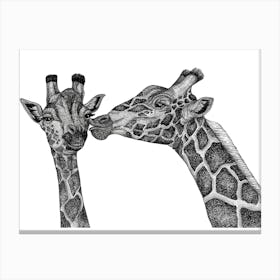 Giraffes In Love Canvas Print